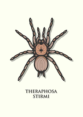 Burgundy Goliath Birdeater