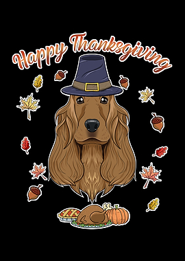 Cocker Spaniel Pilgrim