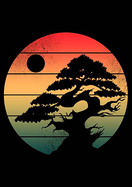 Bonsai Informal sunset