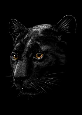 black panther isolated