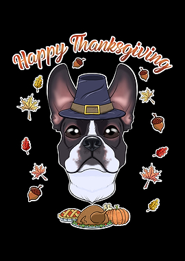 Boston Terrier Pilgrim