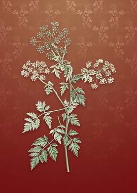 Vintage Hemlock Flowers