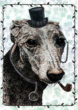 DOG GREY HOUND PORTRAIT