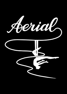 Aerial Yoga Aerial Silks