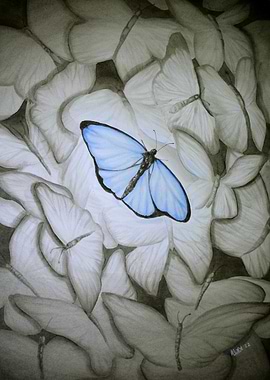 Angel - Blue Butterly