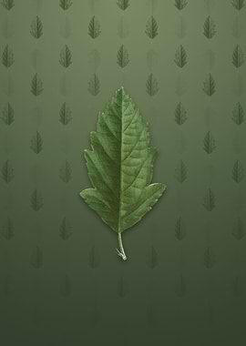 Crabapple on Lunar Green