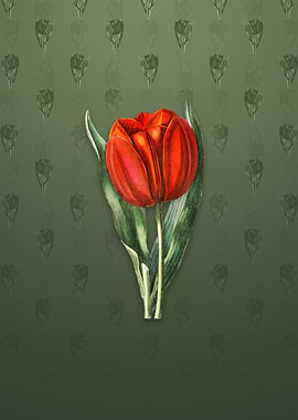 Vintage Gesners Tulip