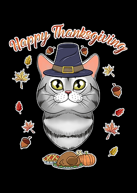 American Shorthair Cat