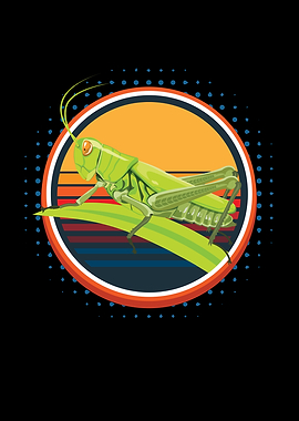 Grasshopper Insect Locust