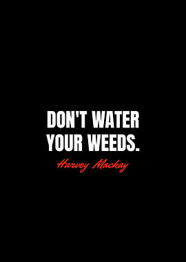 Harvey Mackay Quotes