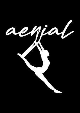 Aerial Yoga Silks Acrobat