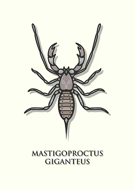Giant Whip Scorpion