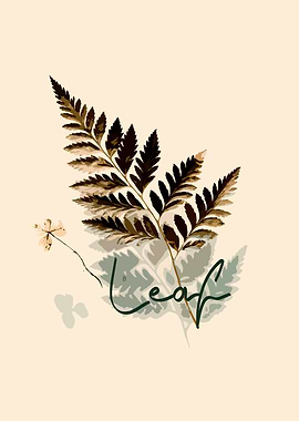 Leaf