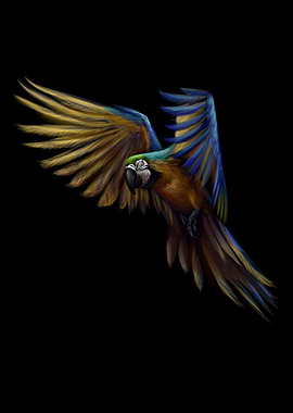 blue and yellow macaw