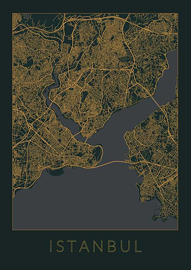 Istanbul Gray Orange Map