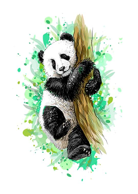 Panda baby cub sitting