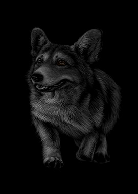 Portrait of welsh corgi