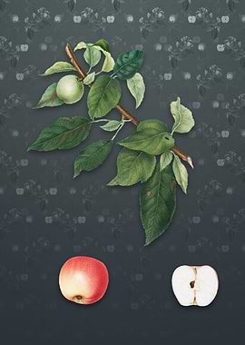 Apple on Slate Gray