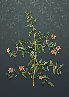 Goji Berry on Slate Gray