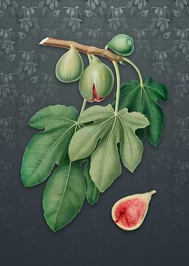 Vintage Fig on Slate Gray