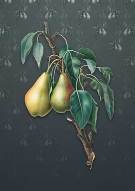 Lemon Pear on Slate Gray