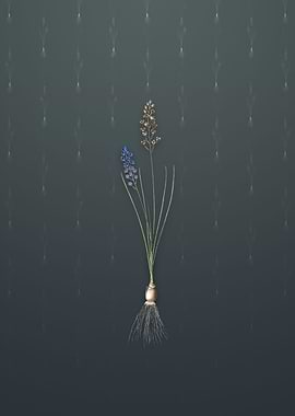 Vintage Autumn Squill