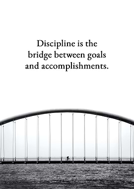 Discipline Bridge