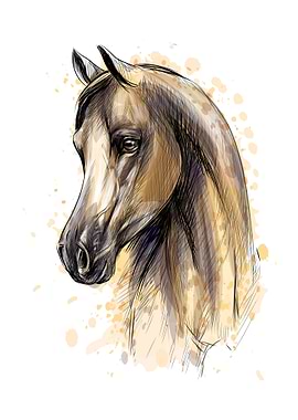 Horse head portrait