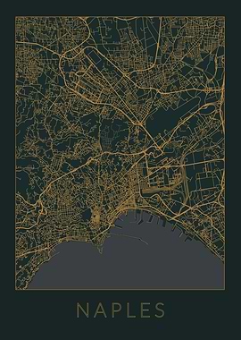 Naples Gray Orange Map
