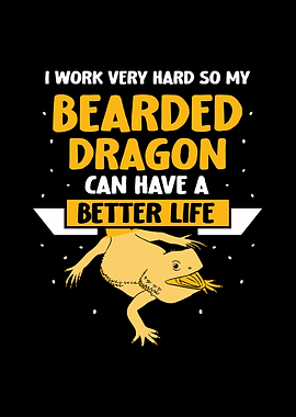 Bearded Dragon