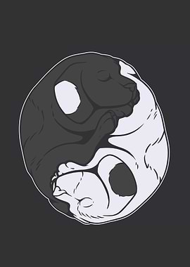Yin yang dogs