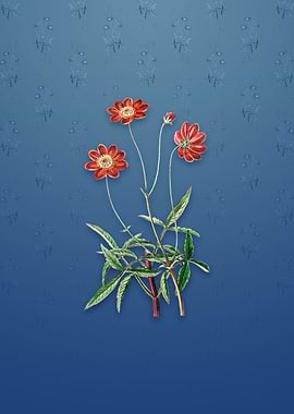 Vintage Cosmos Flower