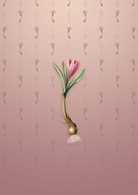 Spring Meadow Saffron