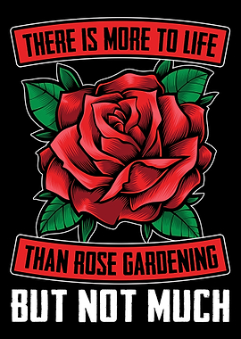 Rose Garden Roses