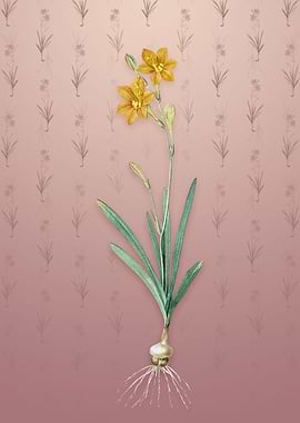 Coppertips on Dusty Pink