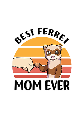 Ferret