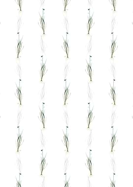 Blue eyed grass Pattern
