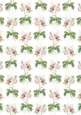 Floral Damask Rose Pattern