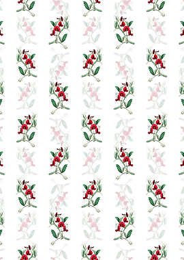 Tangier Pea Flower Pattern
