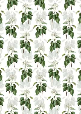 Pagoda Dogwood Pattern