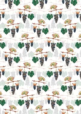 White Summer Grape Pattern