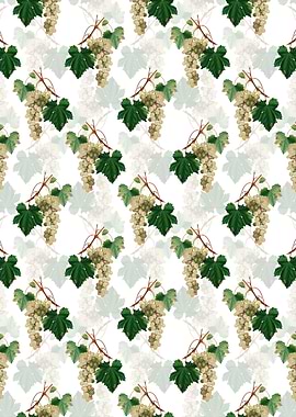 White Muscat Grape Pattern