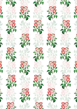 Rose Clare Flower Pattern