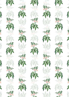 Turraea Pinnata Flower