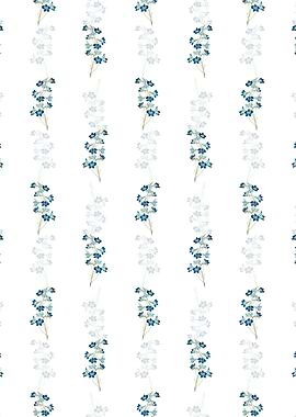 Shewy Delphinium Flower