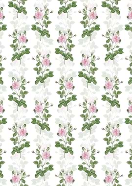 Pink Agatha Rose Pattern