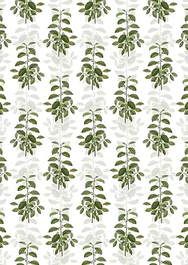 Alder Buckthorn Pattern
