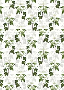 White Guelder Rose Pattern