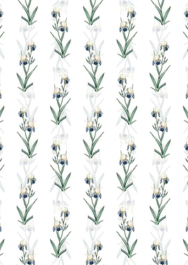 Elder Scented Iris Pattern