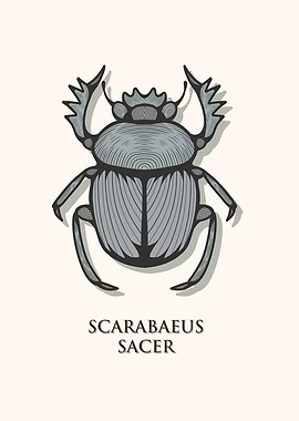 Sacred Scarab Beetle